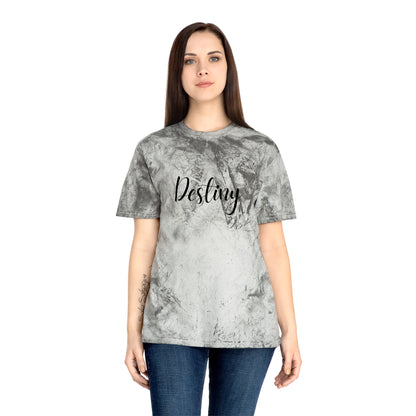 Destiny Color Blast T-Shirt